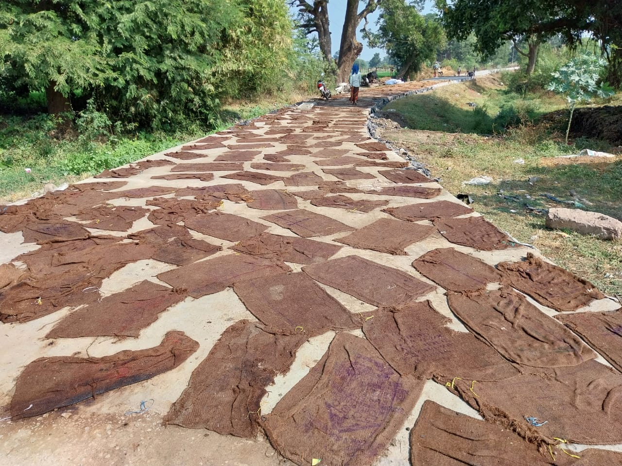 Residential Project 1